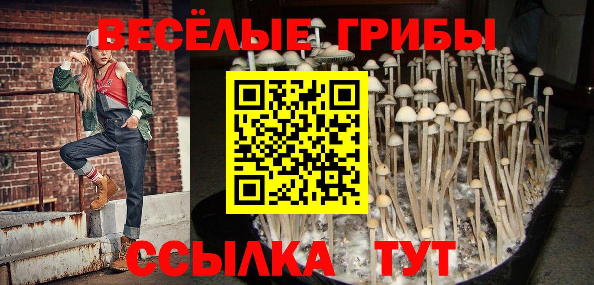 Псилоцибиновые грибы ЛСД Лангепас