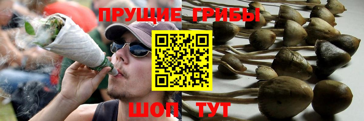 Псилоцибиновые грибы прущие грибы  Псилоцибиновые грибы прущие грибы  Лангепас  Вход с VPN 