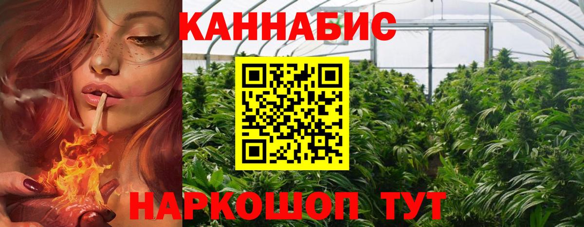 Лангепас  Конопля план  Вход с VPN  Канабис OG Kush 